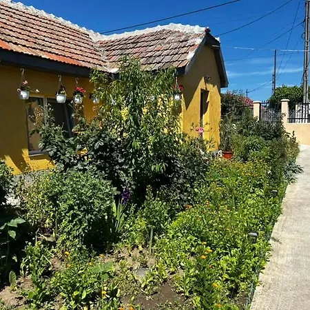 Casa Vera Corbu (Constanta)